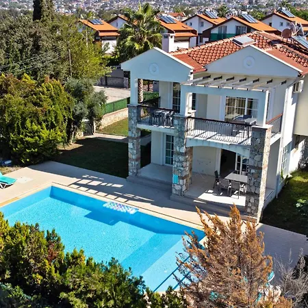 Apartment Gold 6